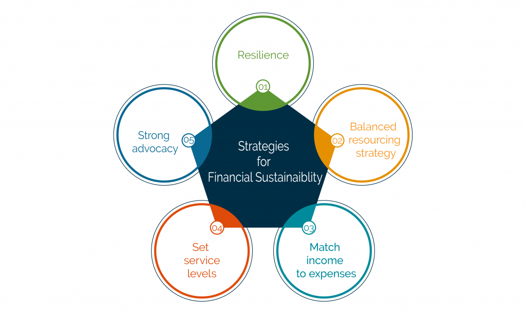 Strategies for financial sustainability